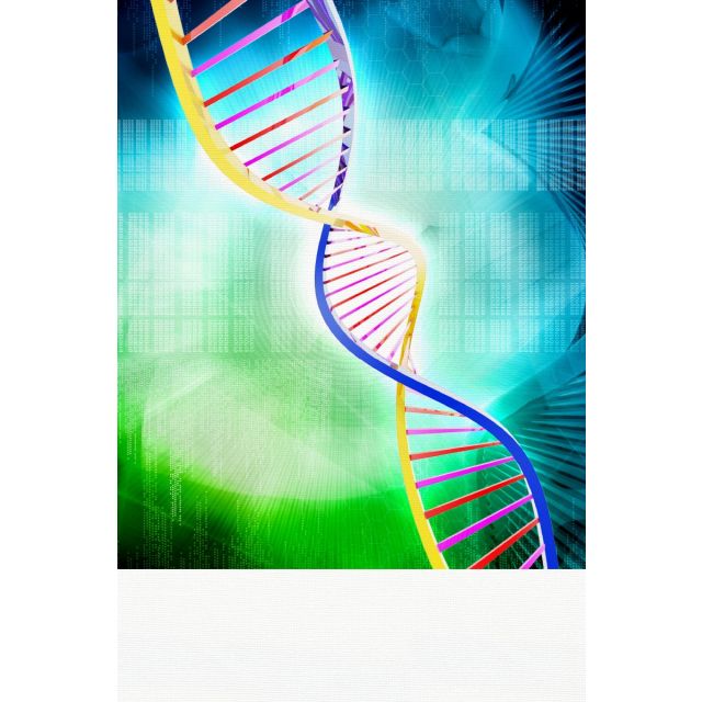 Antimicrobial Soft Knit Fabric