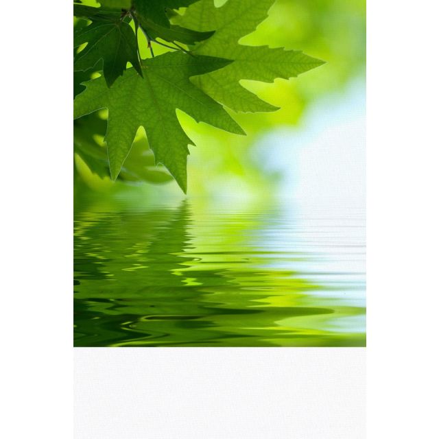 EcoGreen Knit Fabric